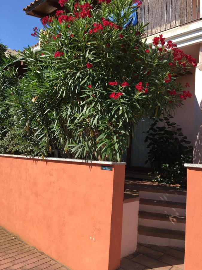 Borgo Saraceno Mirto 5 Apartment ซานปาสกวาเล ภายนอก รูปภาพ